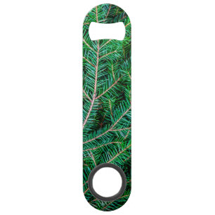 Fir tree branch