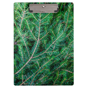 Fir tree branch clipboard