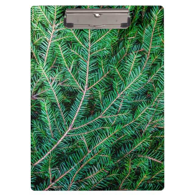 Fir tree branch clipboard (Front)