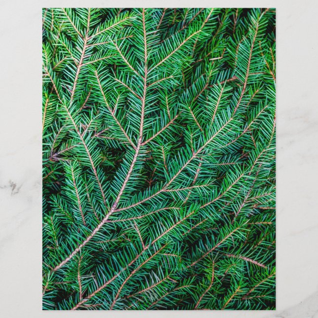 Fir tree branch flyer (Front)