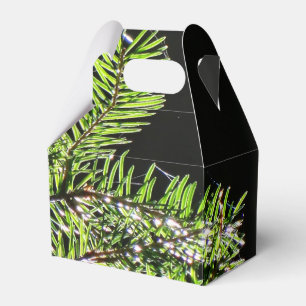 Fir Tree Favour Box