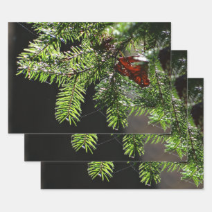 Fir tree wrapping paper sheet