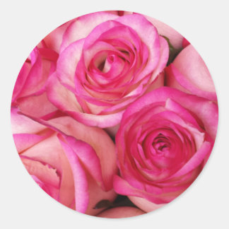 Fire and Ice Roses Classic Round Sticker