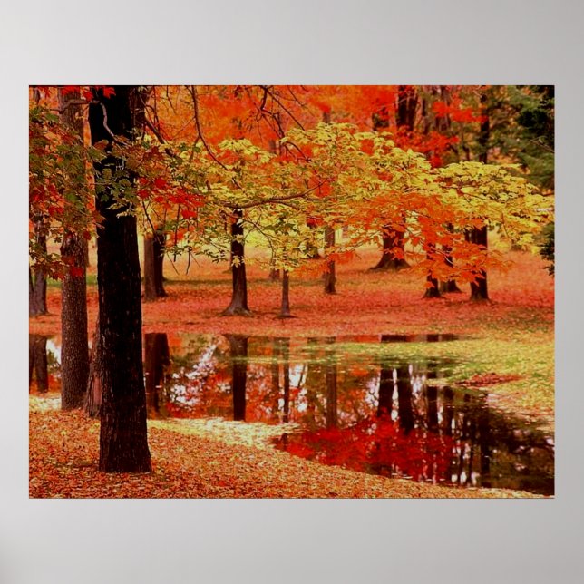 Fire and Rain Poster (Front)