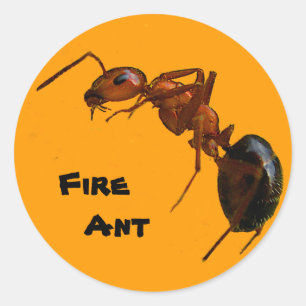 Fire Ant Classic Round Sticker