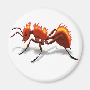 Fire Ant Magnet