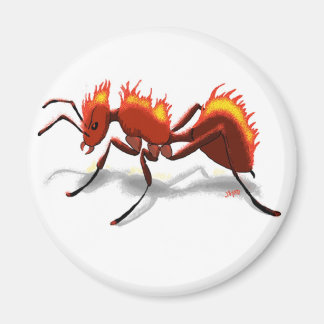 Fire Ant Magnet
