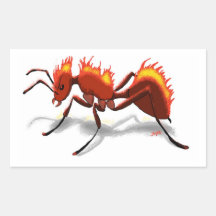 Fire Ant