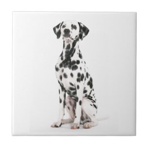 Fire Dog Tile