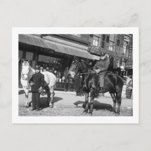 Fire Engine Horses, 1910 Postcard