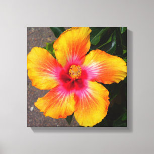 Fire Flower Canvas Print