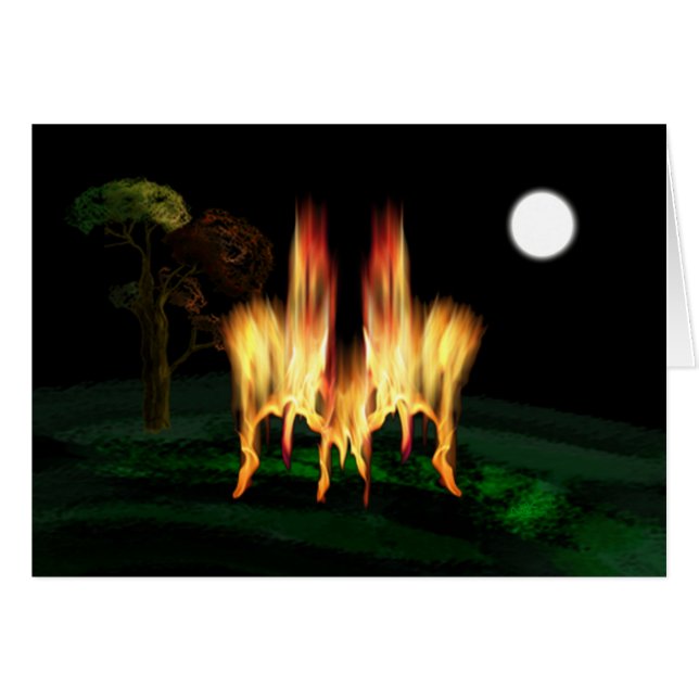Fire Fly (Front Horizontal)