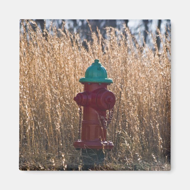 Fire Hydrant Magnet (Front)