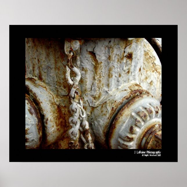 FIre Hydrant Poster (Front)