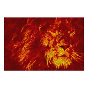 Fire Lion Photo Print