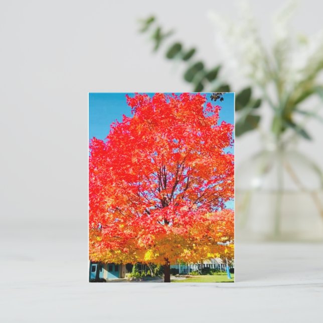 Fire Of Life, Bright, Colourful, Tree In Fall Card (Standing Front)