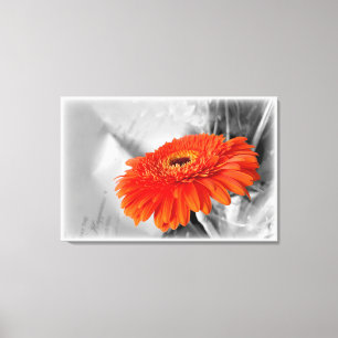 Fire on petals canvas print