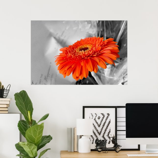 Fire on petals poster (Home Office)