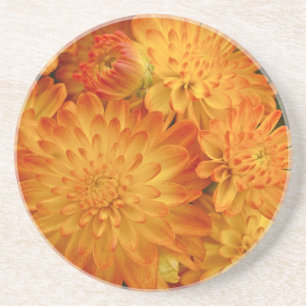 Fire Orange Chrysanthemums Coaster