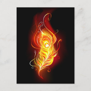 Fire Peacock Feather Advice Card