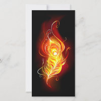 Fire Peacock Feather