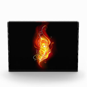 Fire Peacock Feather Photo Block