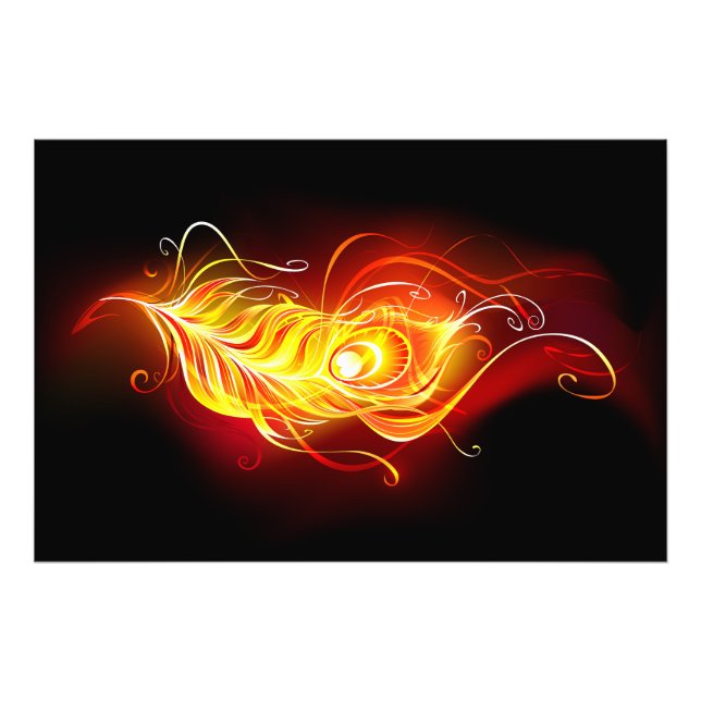 Fire Peacock Feather Photo Print (Front)