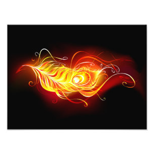 Fire Peacock Feather Photo Print