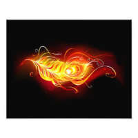 Fire Peacock Feather