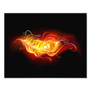 Fire Peacock Feather Photo Print