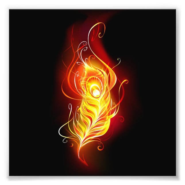 Fire Peacock Feather Photo Print (Front)