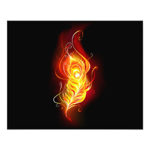 Fire Peacock Feather Photo Print