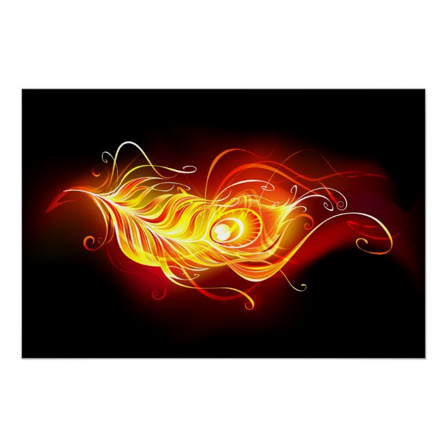 Fire Peacock Feather Poster (Front)