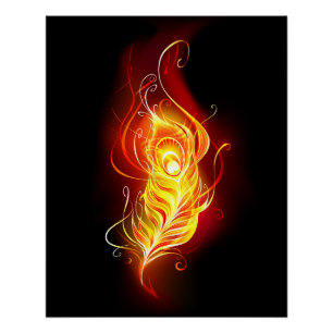 Fire Peacock Feather Poster