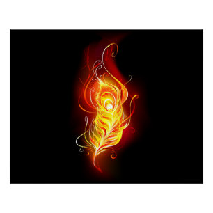 Fire Peacock Feather Poster