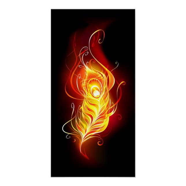 Fire Peacock Feather Poster (Front)