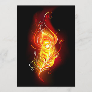 Fire Peacock Feather Programme