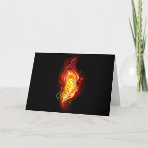 Fire Peacock Feather Programme