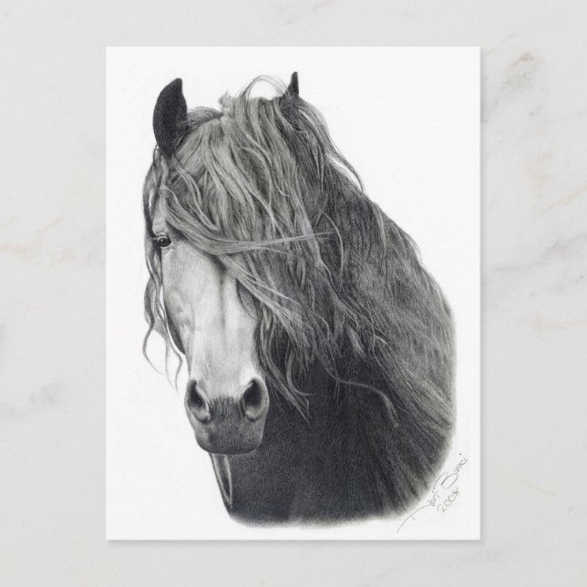 Fire Postcard (Front)