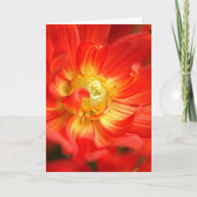 fire red dahlia card (Front)