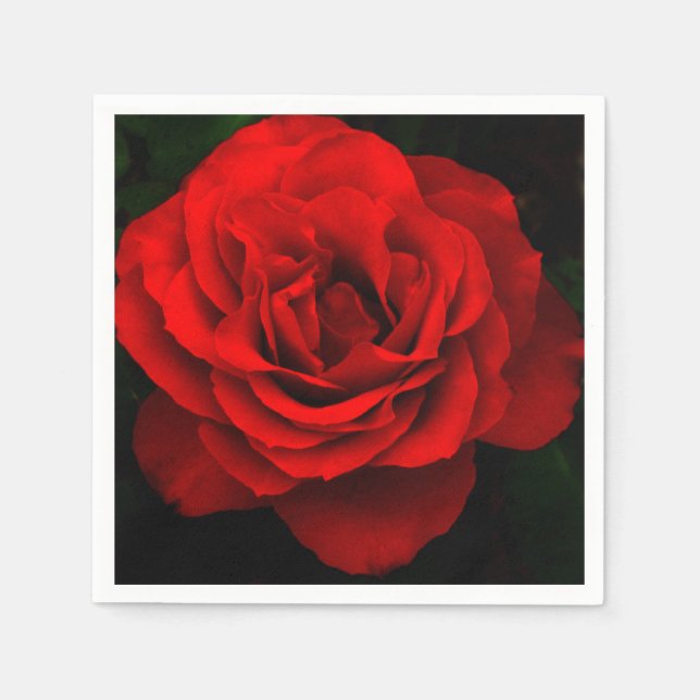 Fire Red Rose-Paper Cocktail Napkins (Front)