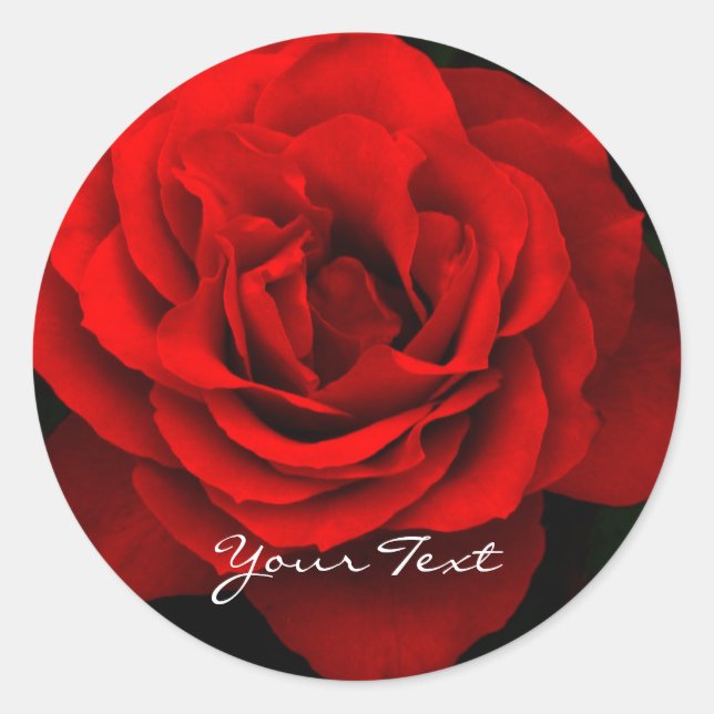 Fire Red Rose Round Stickers (sheet of 20) (Front)