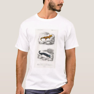 Fire Salamander and Hellbender Salamander T-Shirt