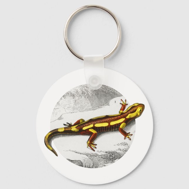 Fire Salamander - Salamandra Key Ring (Front)