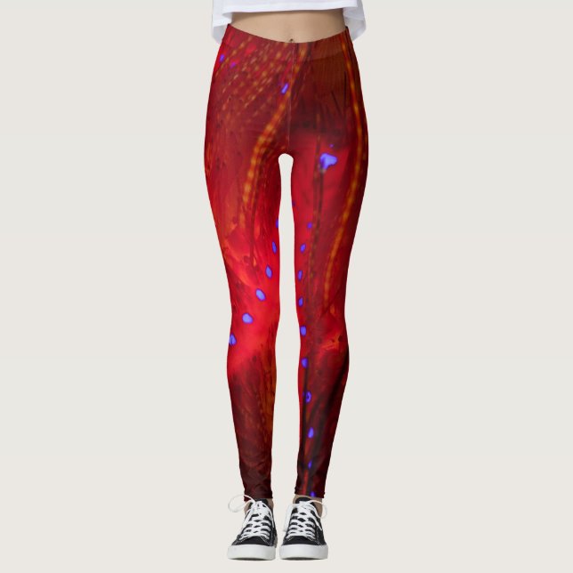 Fire Urchin Leggings (Front)