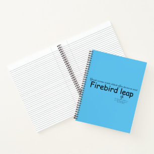 Firebird Leap Sky Blue and Black Notebook