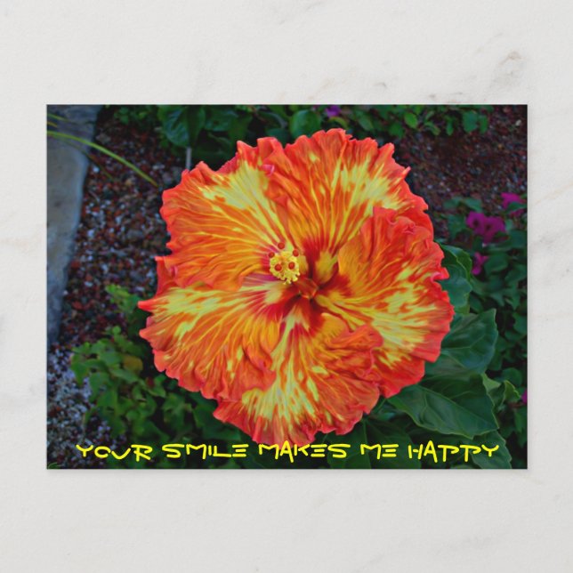 Firecracker Fiesta Hibiscus Postcard (Front)