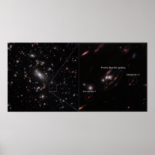 Firefly Sparkle Galaxy Cluster MACS J1423 Poster