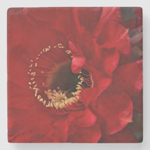 Firelight cactus stone coaster