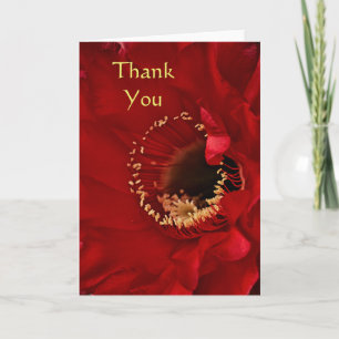 Firelight cactus Thank you Card